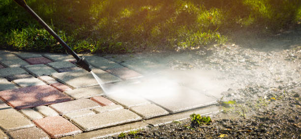 Animal Enclosure Cleaning in Souderton, PA